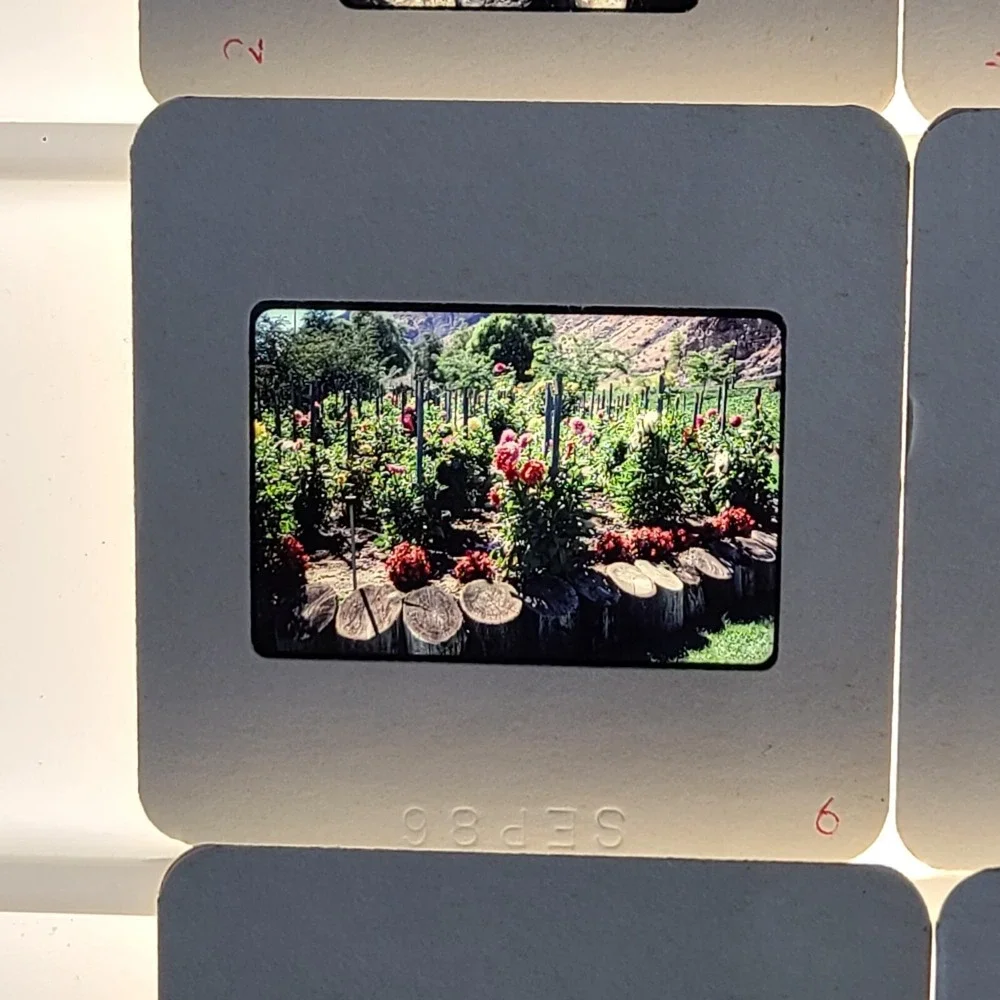 Lot of 40 Slides British Columbia Canada Tourist Scenic Photos Trains 1986 Lot 3